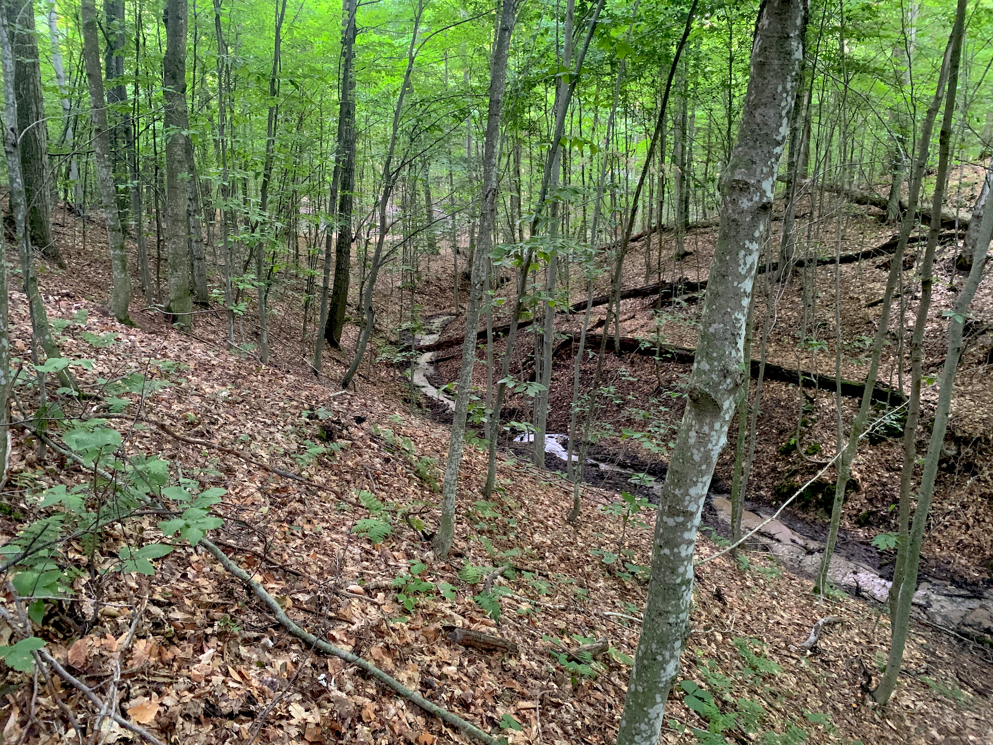 Creek to Rush Lake